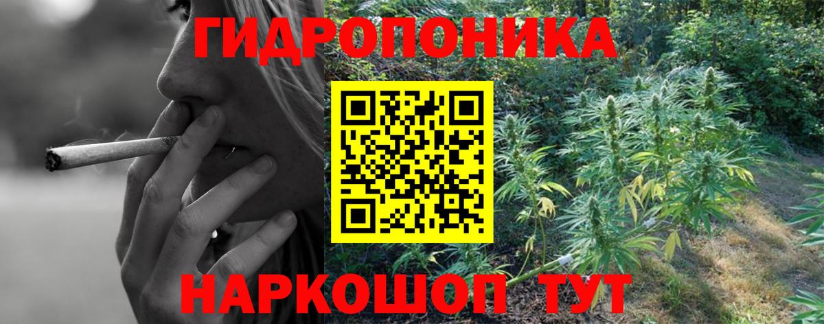 Бошки марихуана VHQ  Вход с VPN  Ессентуки  МАРИХУАНА конопля  МАРИХУАНА планчик 